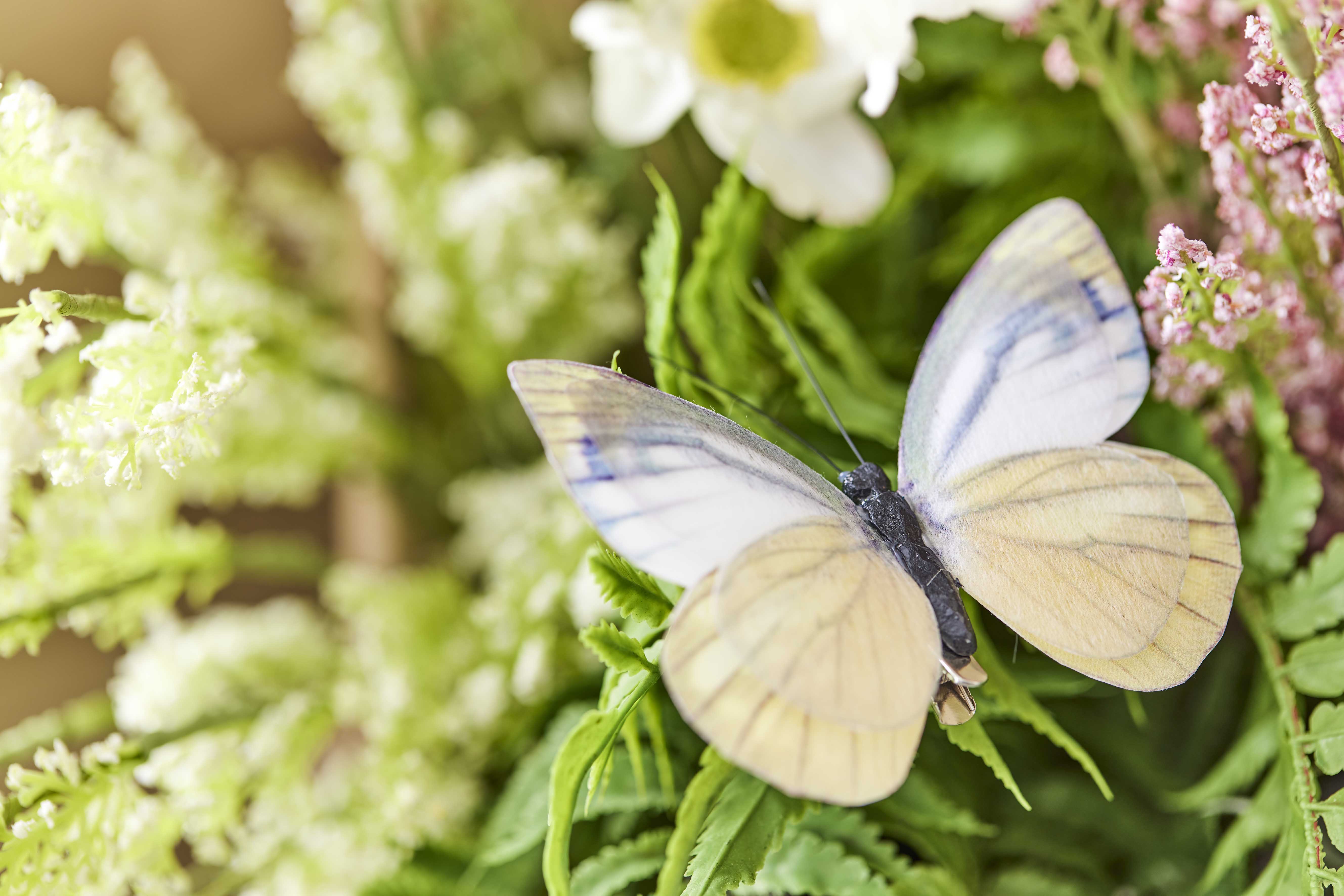 House of Nature Schmetterling auf Clip 9cm 3er echt 1