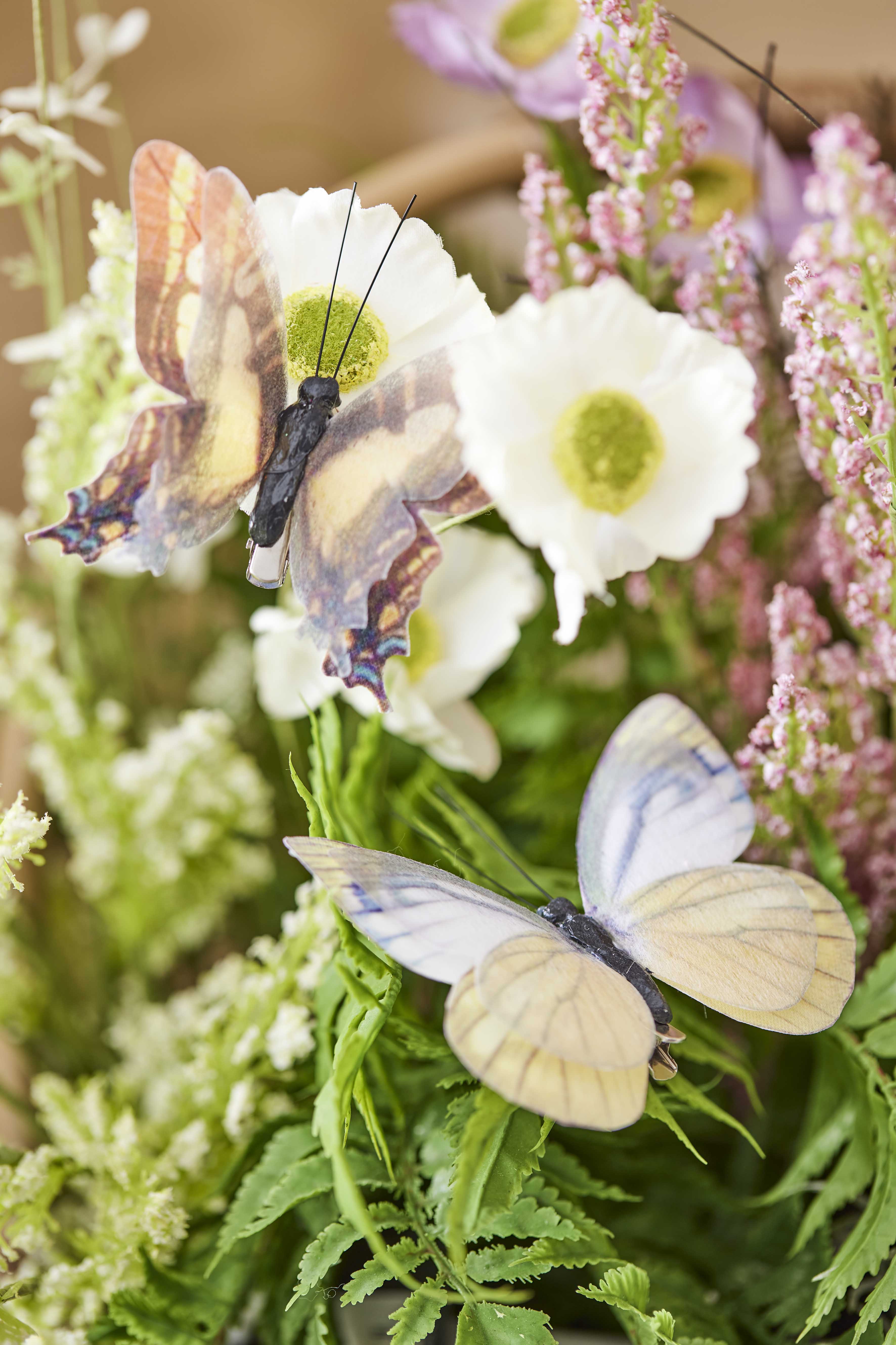 House of Nature Schmetterling auf Clip 9cm 3er echt 2