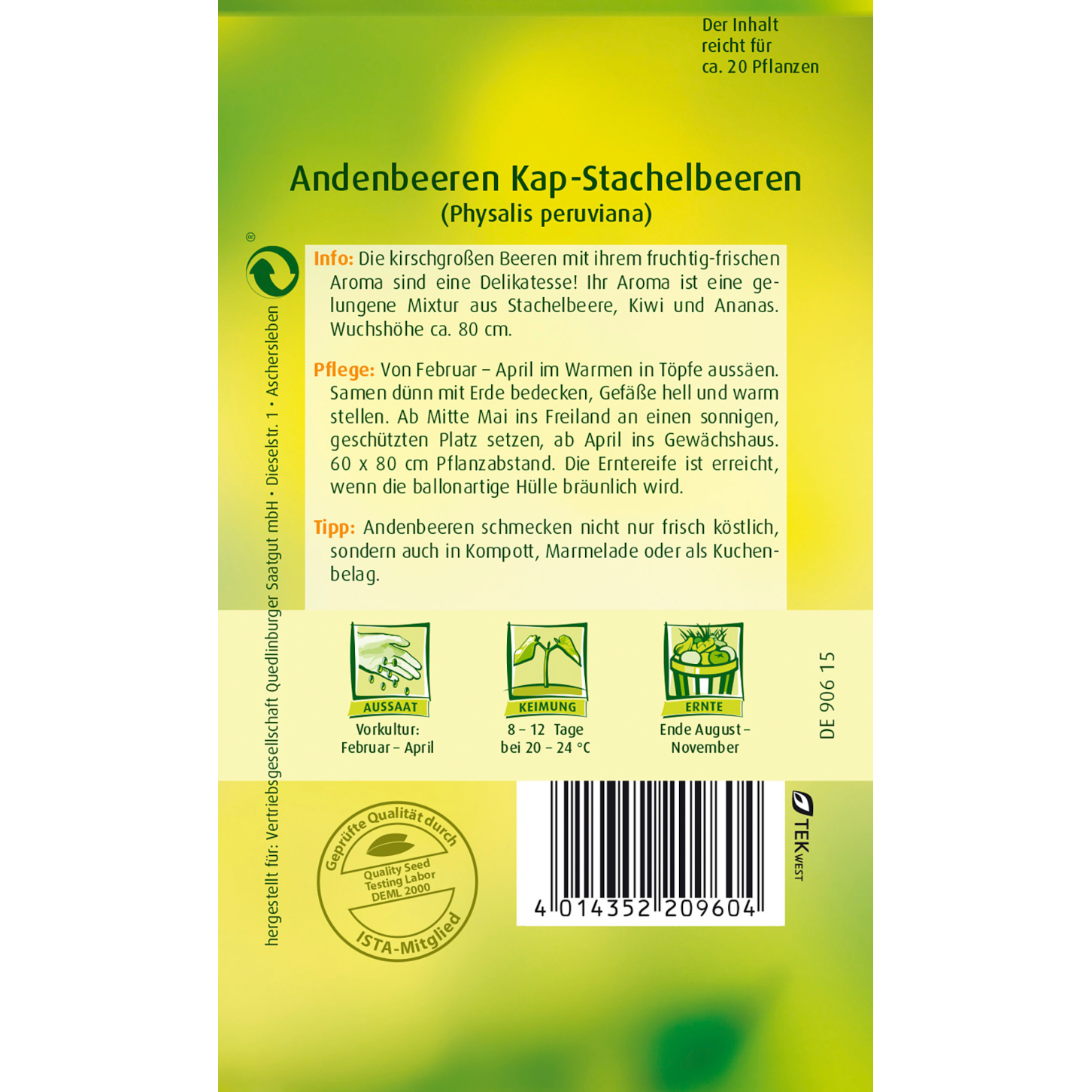 Quedlinburger Sämereien Andenbeeren Kapstachelbeere